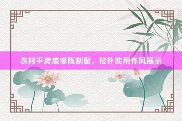 农村平房装修限制图，检朴实用作风展示